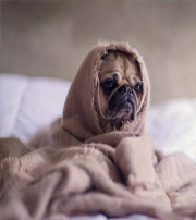 阳江有这样的手机号码，留不住钱，你中枪了吗？