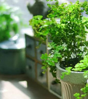 阳江专属于你的开运指南，助你鸿运当头福满身！