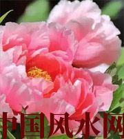 阳江预示你财运上升，姻缘可成的梦境，快来看看吧！