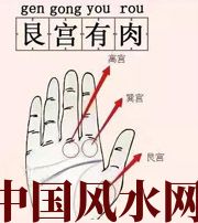 阳江这个地方肉越多，财运就越好