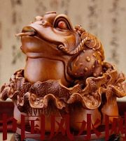 阳江解读金蟾最合适的位置，这样摆放更招财！