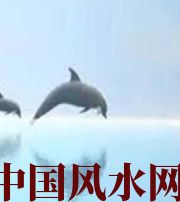 阳江做梦梦到这些，是要富裕的征兆！